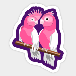 Galahs Sticker